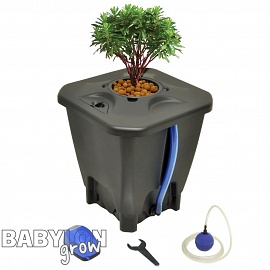 Nutripot Hydro system for crop production